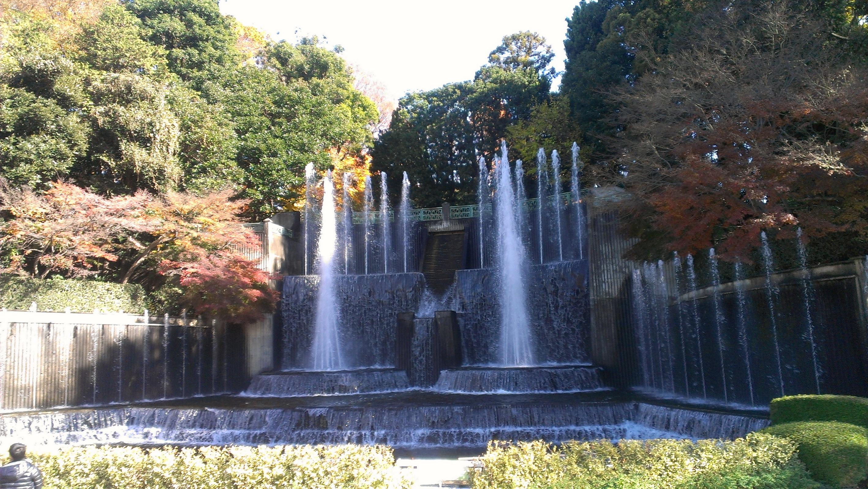 🌳 가와구치 시립 그린센터 (川口市立グリーンセンター) 이미지 7